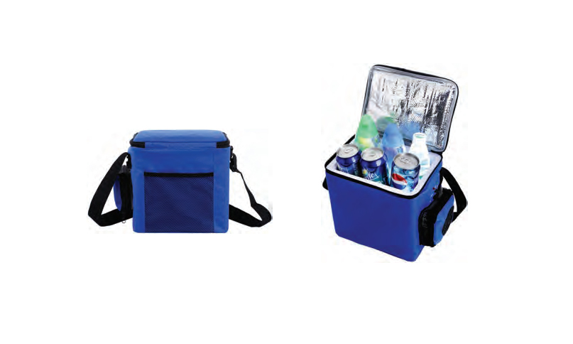 Sided Cooler Bag 6L
